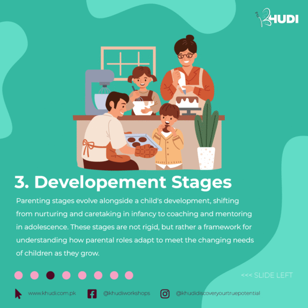 Developement Stages